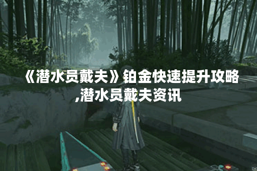 《潜水员戴夫》铂金快速提升攻略,潜水员戴夫资讯