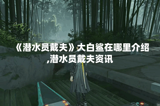 《潜水员戴夫》大白鲨在哪里介绍,潜水员戴夫资讯
