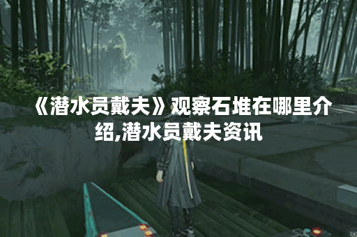 《潜水员戴夫》观察石堆在哪里介绍,潜水员戴夫资讯