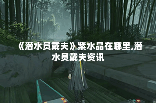 《潜水员戴夫》紫水晶在哪里,潜水员戴夫资讯