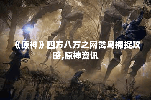 《原神》四方八方之网禽鸟捕捉攻略,原神资讯