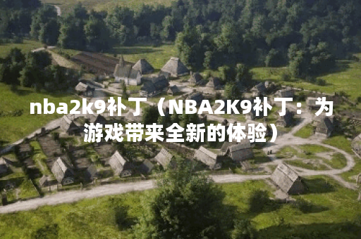 nba2k9补丁（NBA2K9补丁：为游戏带来全新的体验）