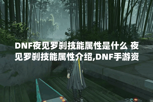 DNF夜见罗刹技能属性是什么 夜见罗刹技能属性介绍,DNF手游资讯