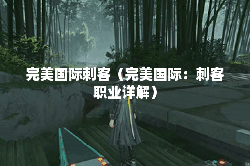 完美国际刺客（完美国际：刺客职业详解）
