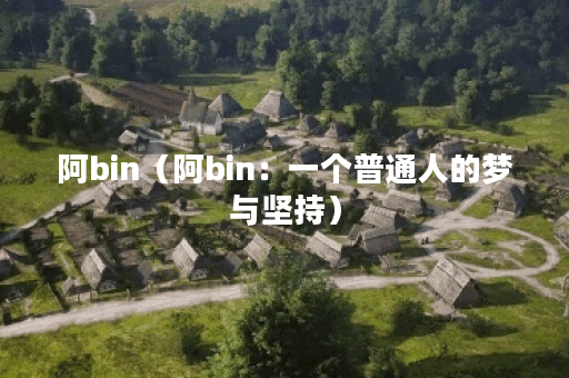 阿bin（阿bin：一个普通人的梦与坚持）