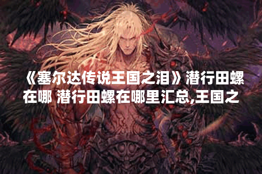 《塞尔达传说王国之泪》潜行田螺在哪 潜行田螺在哪里汇总,王国之泪资讯