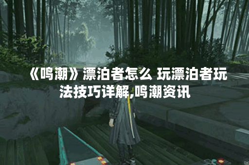 《鸣潮》漂泊者怎么 玩漂泊者玩法技巧详解,鸣潮资讯