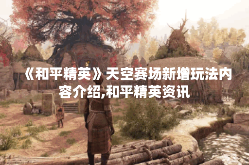 《和平精英》天空赛场新增玩法内容介绍,和平精英资讯