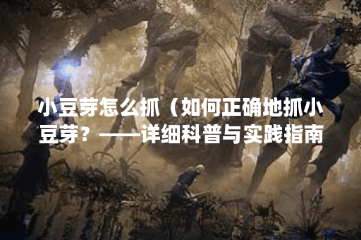 小豆芽怎么抓（如何正确地抓小豆芽？——详细科普与实践指南）