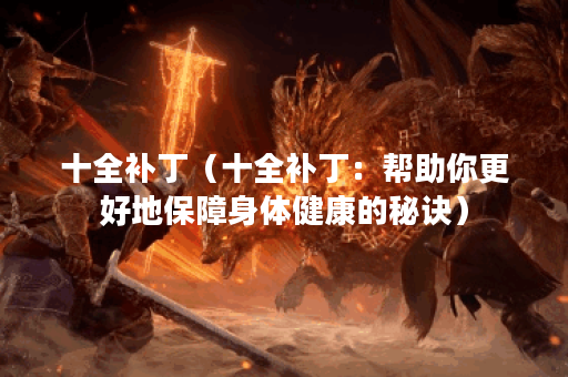 十全补丁（十全补丁：帮助你更好地保障身体健康的秘诀）