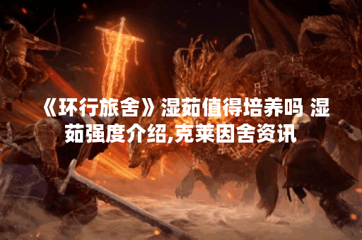 《环行旅舍》湿茹值得培养吗 湿茹强度介绍,克莱因舍资讯