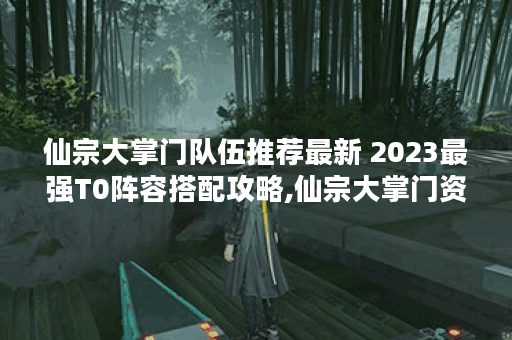 仙宗大掌门队伍推荐最新 2023最强T0阵容搭配攻略,仙宗大掌门资讯