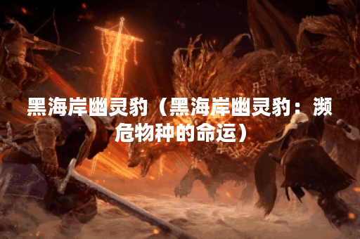 黑海岸幽灵豹（黑海岸幽灵豹：濒危物种的命运）