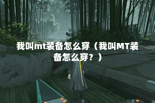 我叫mt装备怎么穿（我叫MT装备怎么穿？）