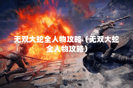 无双大蛇全人物攻略（无双大蛇全人物攻略）