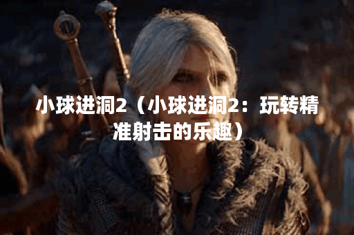 小球进洞2（小球进洞2：玩转精准射击的乐趣）
