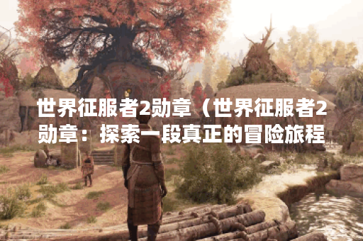 世界征服者2勋章（世界征服者2勋章：探索一段真正的冒险旅程）