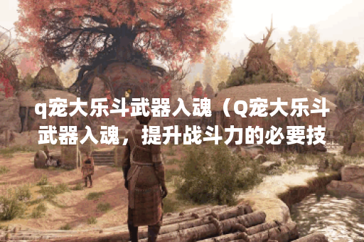 q宠大乐斗武器入魂（Q宠大乐斗武器入魂，提升战斗力的必要技巧和心得