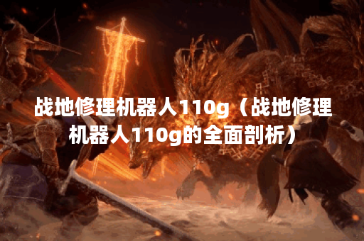 战地修理机器人110g（战地修理机器人110g的全面剖析）
