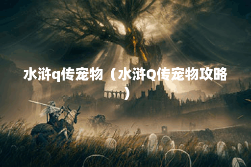 水浒q传宠物（水浒Q传宠物攻略）