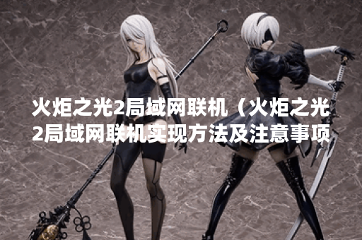 火炬之光2局域网联机（火炬之光2局域网联机实现方法及注意事项）