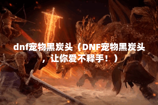 dnf宠物黑炭头（DNF宠物黑炭头，让你爱不释手！）