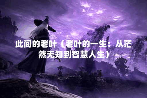 此间的老叶（老叶的一生：从茫然无知到智慧人生）