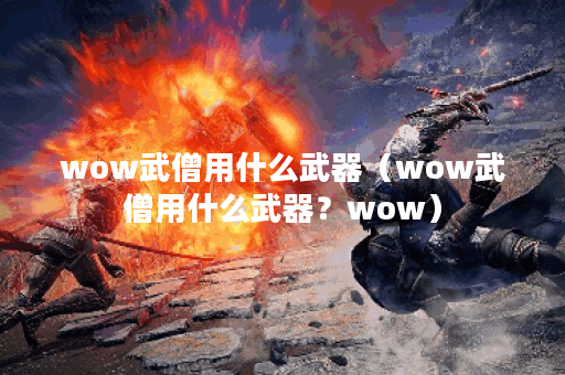 wow武僧用什么武器（wow武僧用什么武器？wow）