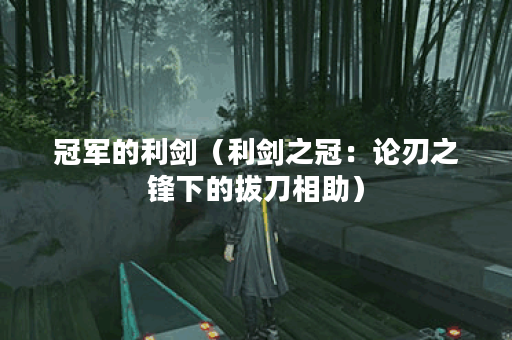 冠军的利剑（利剑之冠：论刃之锋下的拔刀相助）