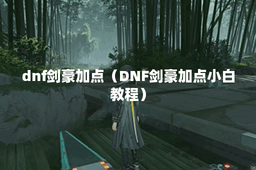 dnf剑豪加点（DNF剑豪加点小白教程）
