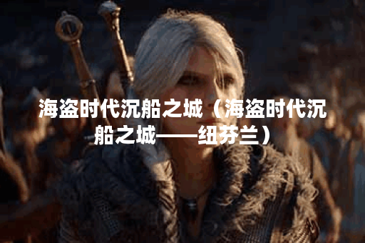 海盗时代沉船之城（海盗时代沉船之城——纽芬兰）