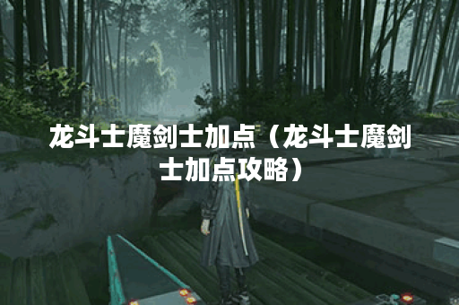 龙斗士魔剑士加点（龙斗士魔剑士加点攻略）