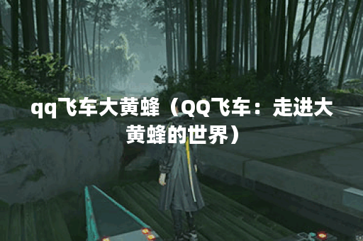 qq飞车大黄蜂（QQ飞车：走进大黄蜂的世界）