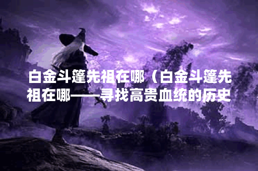 白金斗篷先祖在哪（白金斗篷先祖在哪——寻找高贵血统的历史之旅）