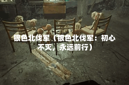 银色北伐军（银色北伐军：初心不灭，永远前行）