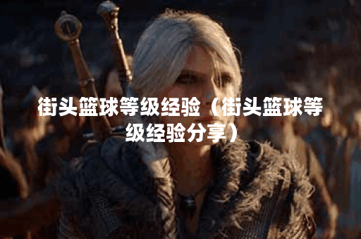 街头篮球等级经验（街头篮球等级经验分享）