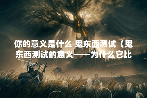你的意义是什么 鬼东西测试（鬼东西测试的意义——为什么它比你想象