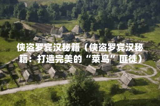 侠盗罗宾汉秘籍（侠盗罗宾汉秘籍：打造完美的“菜鸟”匪徒）