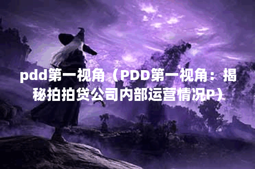 pdd第一视角（PDD第一视角：揭秘拍拍贷公司内部运营情况P）