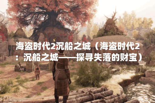 海盗时代2沉船之城（海盗时代2：沉船之城——探寻失落的财宝）