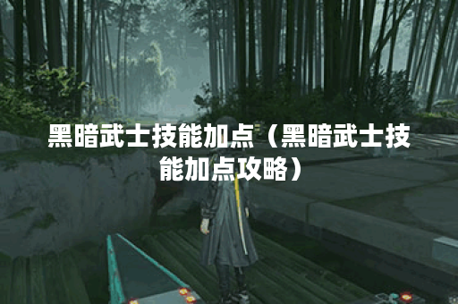 黑暗武士技能加点（黑暗武士技能加点攻略）