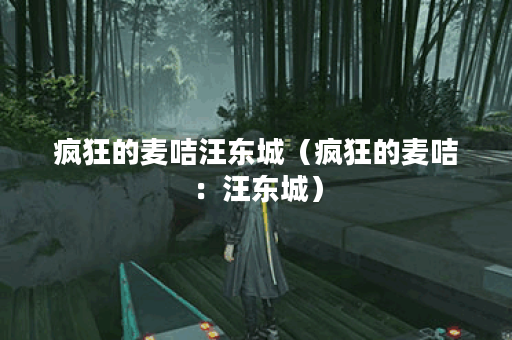 疯狂的麦咭汪东城（疯狂的麦咭：汪东城）