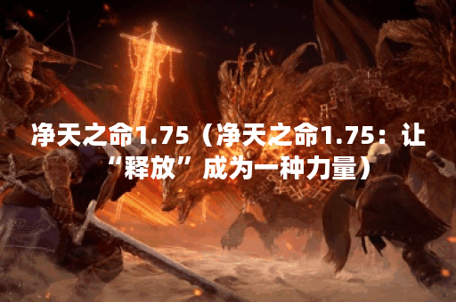 净天之命1.75（净天之命1.75：让“释放”成为一种力量）
