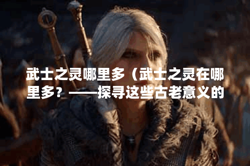武士之灵哪里多（武士之灵在哪里多？——探寻这些古老意义的所在地