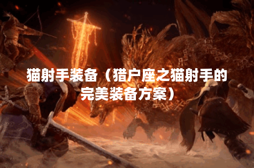 猫射手装备（猎户座之猫射手的完美装备方案）