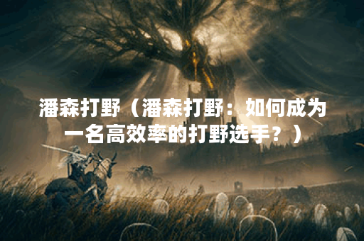 潘森打野（潘森打野：如何成为一名高效率的打野选手？）