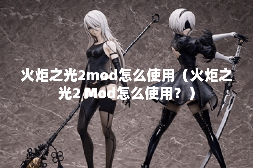 火炬之光2mod怎么使用（火炬之光2 Mod怎么使用？）