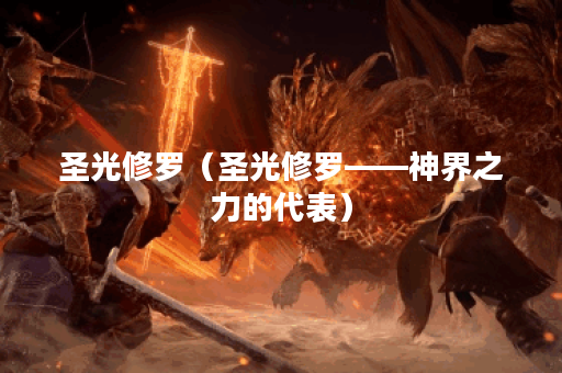 圣光修罗（圣光修罗——神界之力的代表）