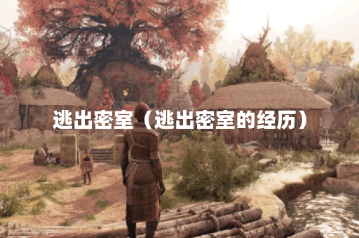 逃出密室（逃出密室的经历）