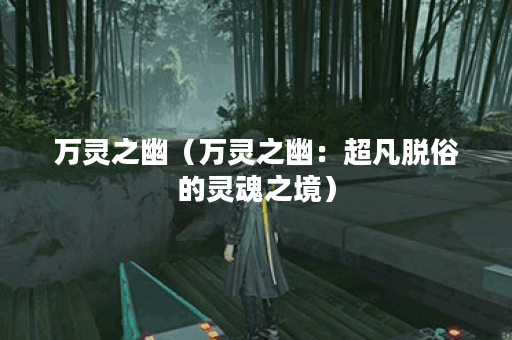 万灵之幽（万灵之幽：超凡脱俗的灵魂之境）